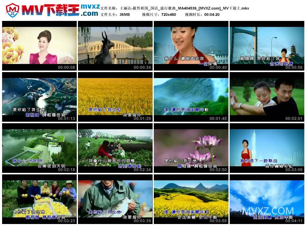 王丽达-报答祖国_国语_流行歌曲_MA404539